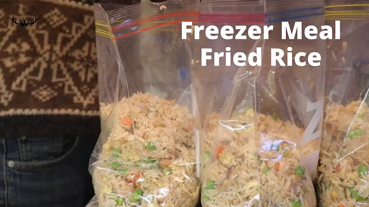Freezer Meal Fried Rice Recipe {VIDEO}