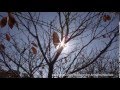 悲しいときはいつも【HD】