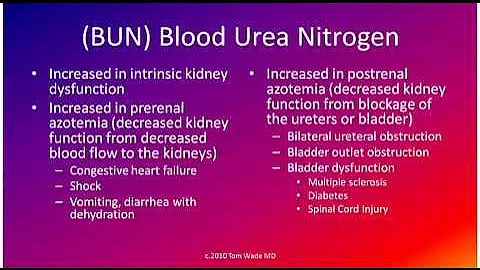 Creatinine, BUN, and BUN/Creatinine