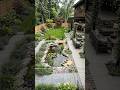 I Built a Turtles Pond in the Backyard house back yard renovation #interiordesign #home