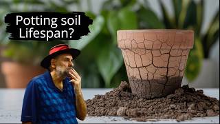 The Potting Soil Renewal Secret Every Gardener Misses