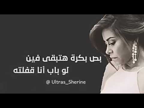 هو مین شال ذنب مین