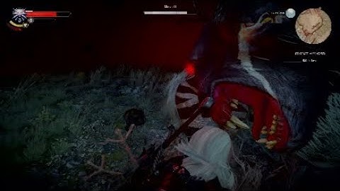 The Witcher 3 Wild Hunt - Contract: Missing Son