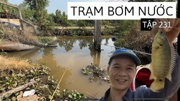 Tập 232 - Phát Hiện Bầy Cá Rô Dưới Trạm Bơm Nước