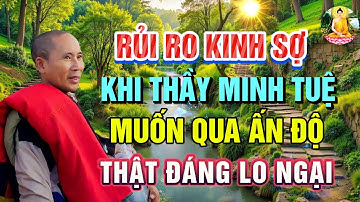 🔴RỦI RO KINH SỢ khi sư Minh Tuệ qua ẤN ĐỘ - TS Đoàn văn Báu Sẵn Sàng Trợ Duyên Cho Sư Tất Cả