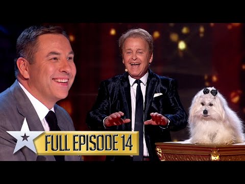 Talking Dog Roasts The Judges! | Britain's Got Talent | Series 9 | Episode 14 | Full Episode