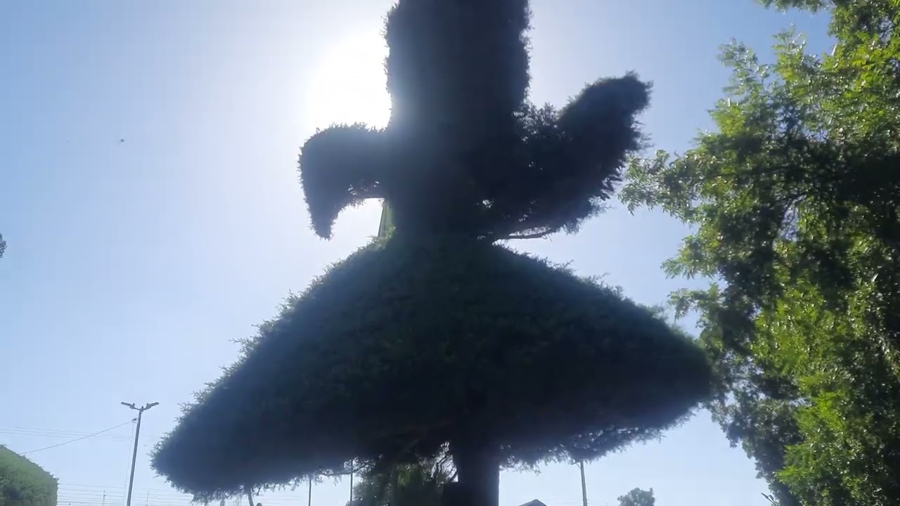 Arte da Topiaria na Praça!