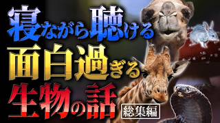 【衝撃】面白過ぎる生物の話【勉強・作業用総集編】
