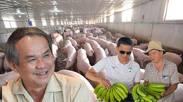 Từ NỢ NGẬP ĐẦU, Bầu Đức hốt NGHÌN TỶ từ heo ăn chuối | Nhà Nông Làm Giàu