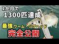 【月間1300匹達成】最強アジングワーム・ジグヘッド・タックル完全公開