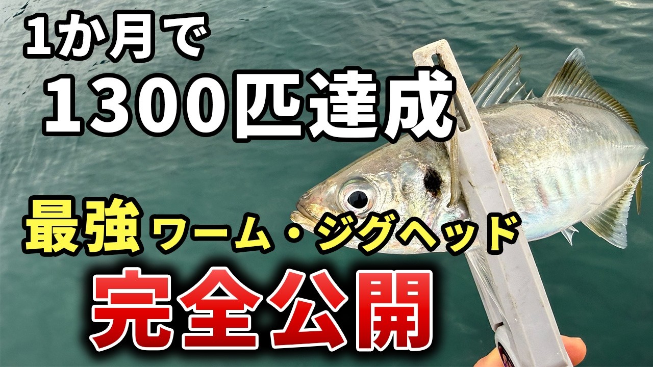 【月間1300匹達成】最強アジングワーム・ジグヘッド・タックル完全公開