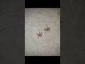 Omg😱! Diy Spider 🕷 earrings😱! How to make spider earrings😱😱! #shorts #spider #earrings