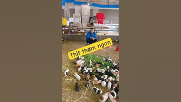 Khởi nghiệp tuổi 17#shortsfeed #tintuc #tinnong
