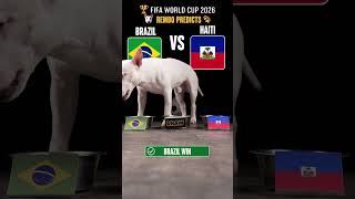 🐶 Dog Predicts Brazil vs Haiti | World Cup 2026 #Shorts
