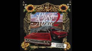 Plush Mode Vol  2. - Rick Ross Type Sample Pack