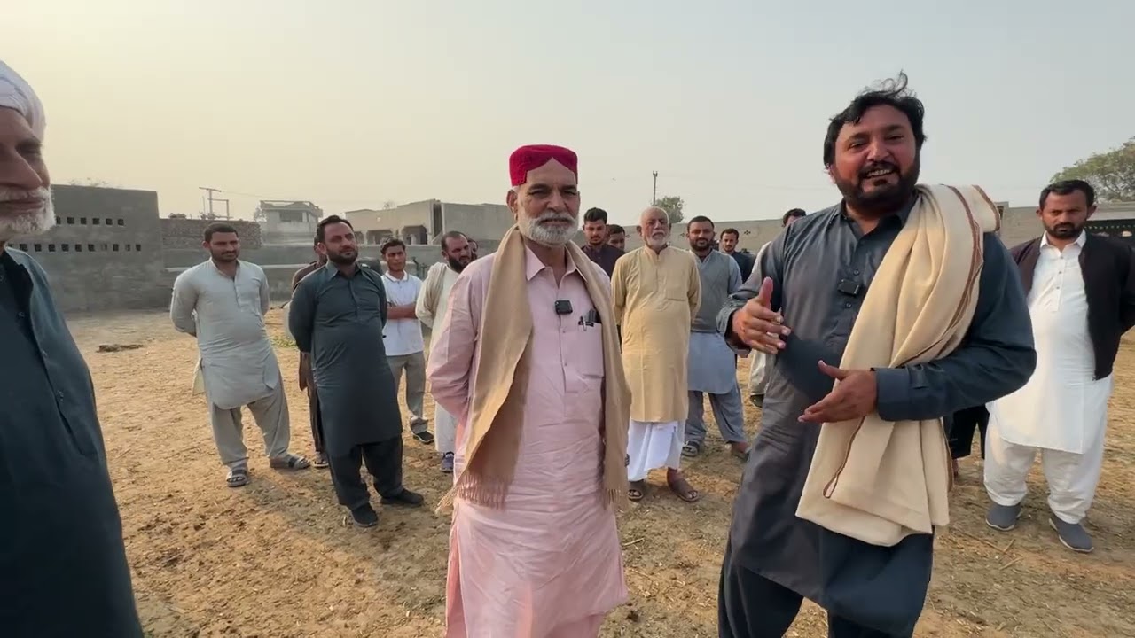 Majjan  da farm jithy angrez v ay | Ravi da waseeb | Buffalo farming | Anjum Saroya