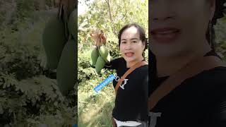 @យកគេនាក់ក្រុងយកអូនត្រឹមកូននាក់ស្រែ reels  សុ ជឿន