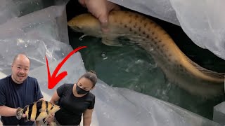 UNBOXING LOTS of RARE EXOTIC freshwater FISH STINGRAY BIOLOGY