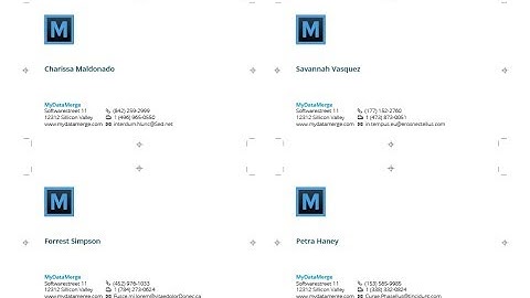 MyDataMerge multiple records data merge in InDesign with layout provided