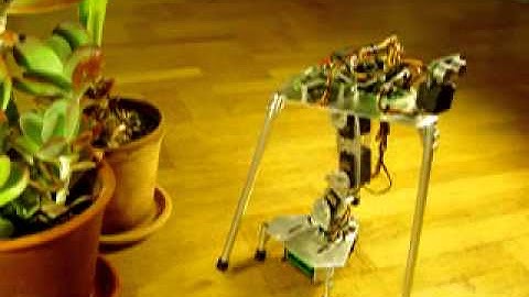 One-legged robot Stampe 8 detecting obstacle and turning