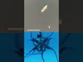 This robot is a scaled up version of bacteria