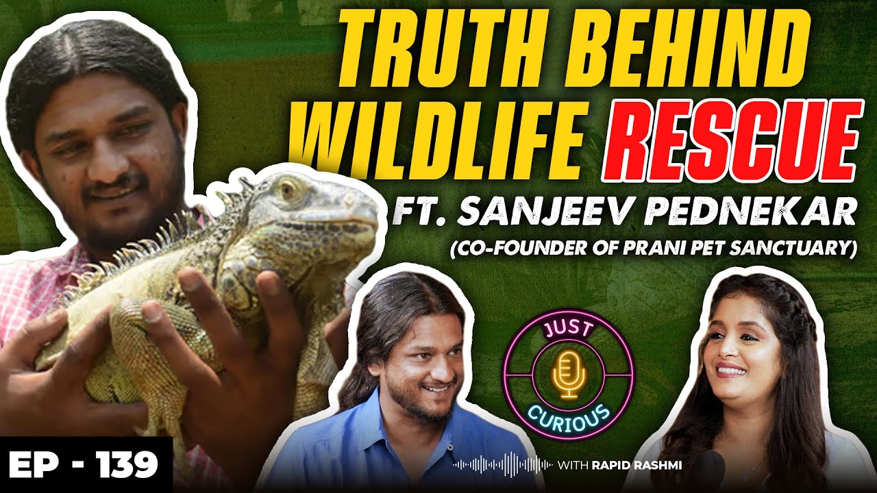 The Risks of Wildlife Rescue, Running a Pet Sanctuary, Guidelines for Animal Rescue, Money & More