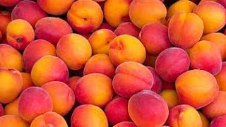 Peach very crispy and fresh - For fruit lovers &amp; have a good day!!!Peach Cultivation in Pakistan