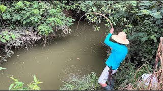 Ainda bem que mudamos de lugar, só tilaponas e traíra no corgo, pescaria!!!