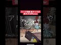【APEXリーク情報】新キャラが強すぎた件ｗｗｗｗ#shorts #apex