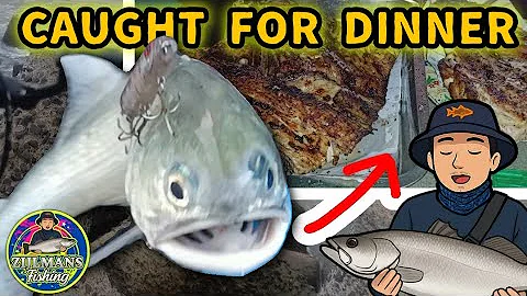 Estuary Fishing for Threadfin – Fishing Journal Day 1