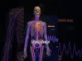 Eat Fast Food Every Day — Watch What Happens to Your Body Day by Day #shorts #whatif #didyouknow