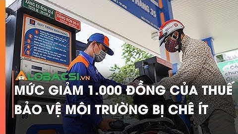 Mức Giảm 1.000 Đồng Của Thuế Bảo Vệ Môi Trường Bị Chê Ít