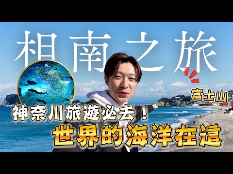 來看看日本水族館有多厲害！直接打造出一個夢幻海底龍宮 相模灣大水槽 水母夢幻廳 ｜日本旅遊 新江之島水族館