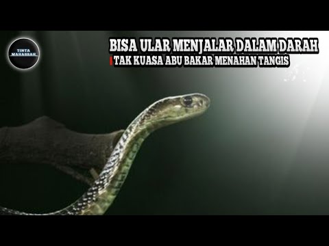 Yangi yil kechasi joja porno Juda issiq qizlar porno onlayn