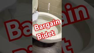 Clear Rear Bidet!