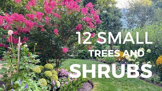 12 Small Trees and Shrubs for Tiny Landscapes 🌳