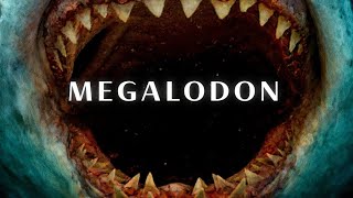 Nothing About the Megalodon Was Normal… Here’s Why