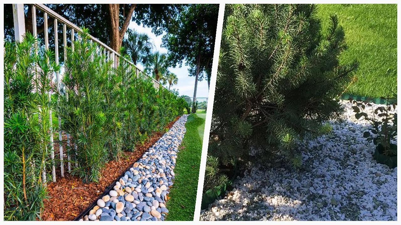 75 Transitional Metal Fence Landscaping Design Ideas You'll Love 😊