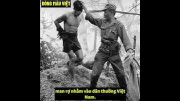 Hàn Quốc Xâm Lược Việt Nam Như Thế Nào ?