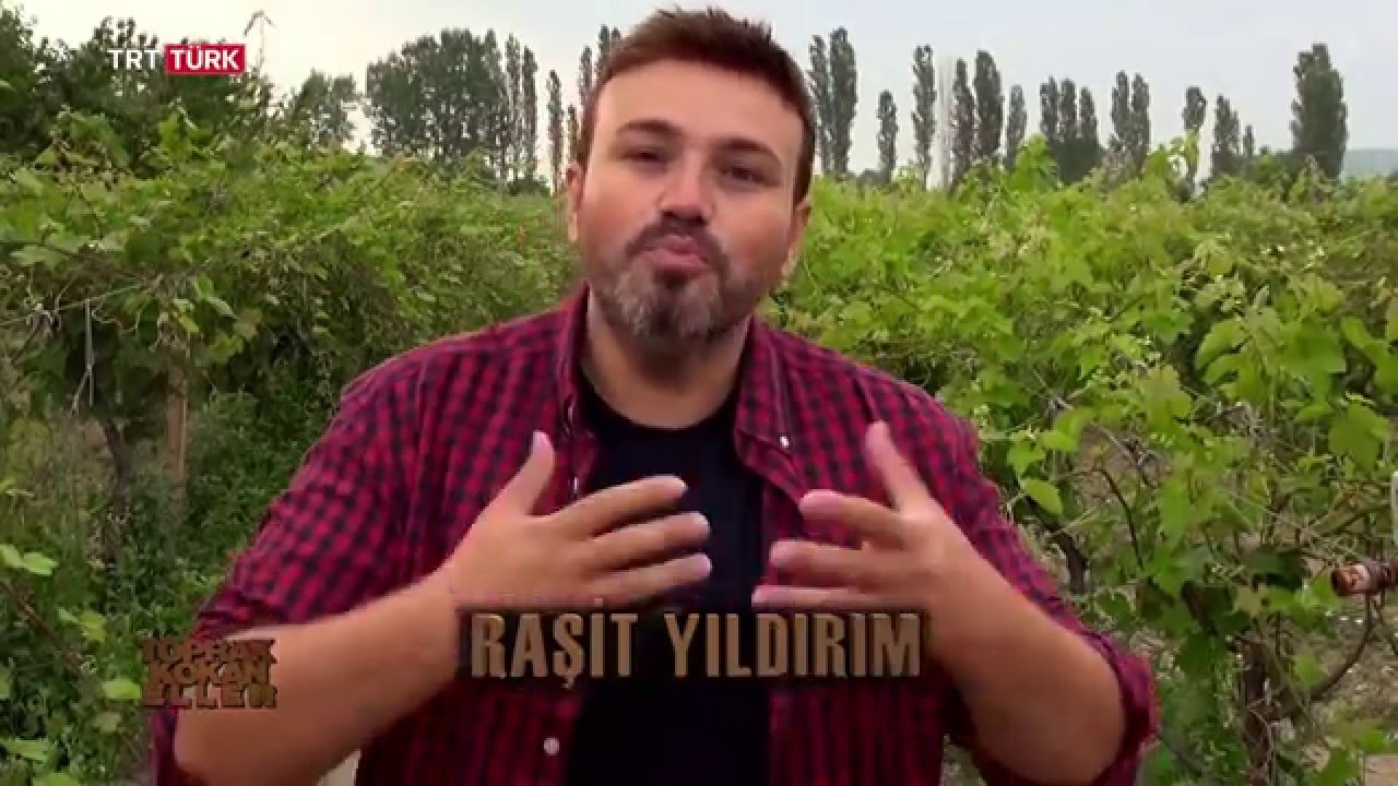 Tokat Erbaa Asma Bağ Yaprağı Belgesel