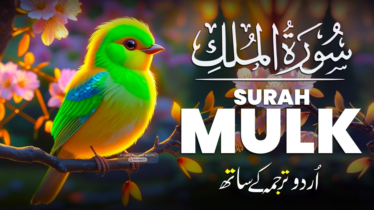 Surah Al-Mulk | Tranquil Quran Recitation for Protection & Stress Relief #almulk