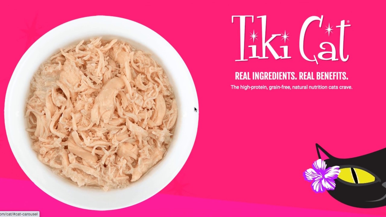 Tiki Pets Cat Food Product Review (mini haul) YouTube