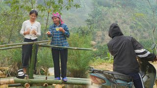 Download Lagu The homeless girl’s place is discovered. Ly Tieu Hong completes the million-dollar project. MP3