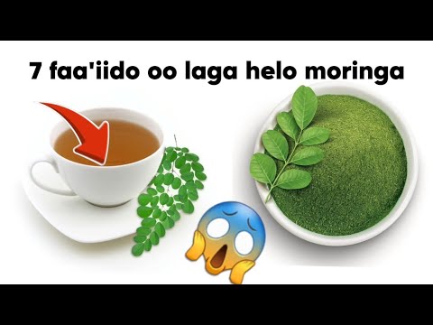 7 FAA IIDO OO LAGA HELO GEEDKA MORINGAHA Neyruzherbal Moringa Natural