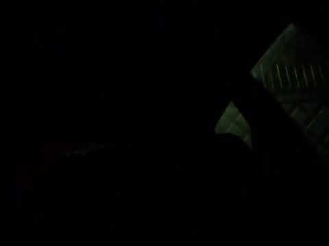 Приказ №664 ГИБДД .ПРОСВЕЩЕНИЕ !