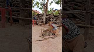 Harmony Video Best Video Of Animals SokYaa , Phao And ToTo Are Harmony and Fun WILL MAKE YOU SMILE