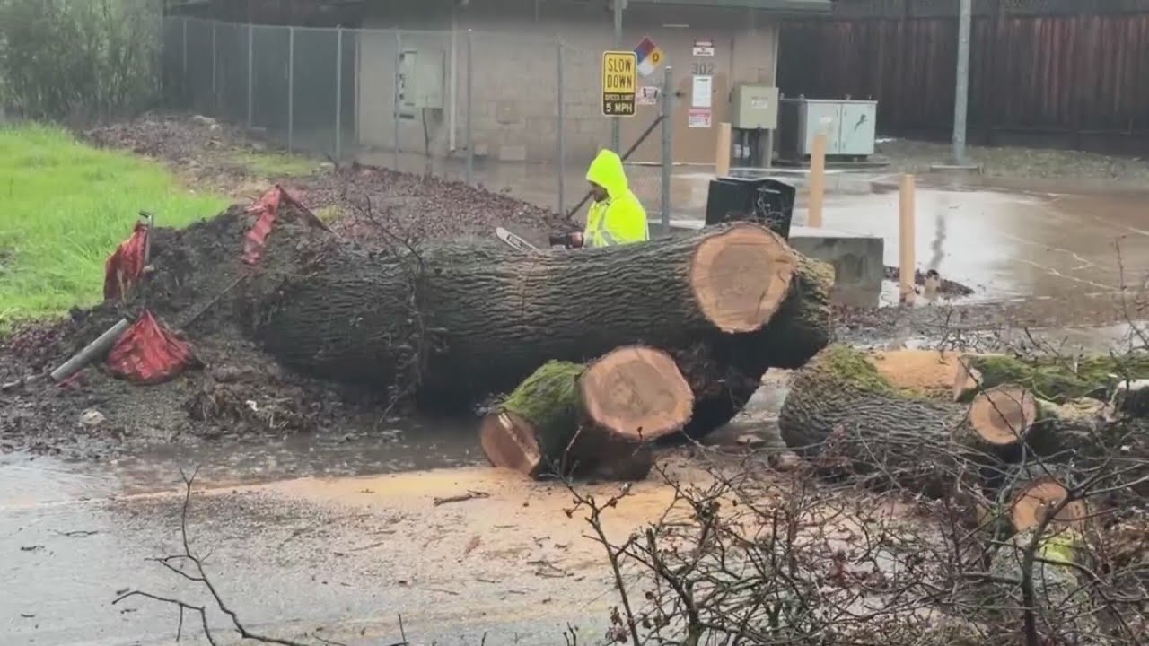 Storm causing downed trees - YouTube
