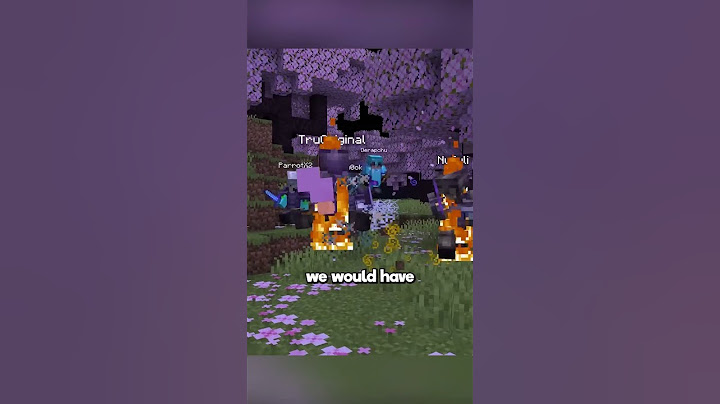 I Got Hunted by a Minecraft Hacker Part 9