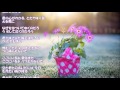 中島みゆき 空と君のあいだに【cover】