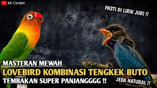 Download Lagu MASTERAN MEWAH || LOVEBIRD KOMBINASI TENGKEK BUTO || PASTI DI LIRIK JURI !! MP3